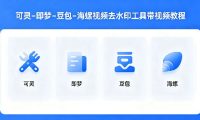可灵–即梦–豆包–海螺视频去水印工具带视频教程