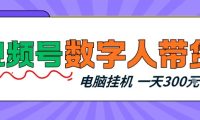视频号数字人带货，电脑挂G项目，新手小白轻松一天3张+【揭秘】