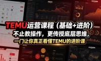 TEMU运营课程(基础+进阶),不止教操作,更传授底层思维,一门让你真正看懂TEMU的进阶课