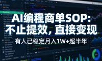 AI编程商单SOP,AI编程不能只给工作提效,还要直接变现,有人已经稳定月入1W+半年了