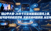 钏山甲大狼·26年千川全域直播运营线上课，起号稳号的底层逻辑、流量流速问题原因、标签的重要性及打标签方法等