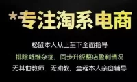 松鼠会电商VIP课程，从基础布局到高阶优化，助你掌握淘宝运营逻辑，提升店铺流量与转化(更新0901)