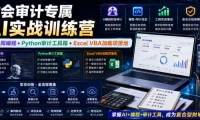 财会审计专属AI实战训练营|AI协同编程+Python审计工具箱+Excel VBA加载项落地(更新0710)
