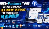 电商+Facebook广告课,一套经过实战检验的线上销售和广告投放体系,让你轻轻松松获得可观的利润【原创双语字幕】