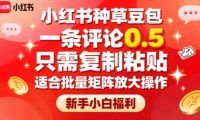 小红书种草豆包，一条评论0.5，只需复制粘贴，适合批量矩阵放大操作，新手小白福利