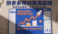 拼多多特训营高阶班，独家玩法赋能，突破运营天花板(更新26年7月11日)