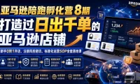 亚马逊陪跑孵化营8期,打造过日出千单的亚马逊店铺,新手0到1开店、注册风控避坑、标准化运营SOP全套落地课