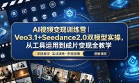 AI视频变现训练营|Veo3.1+Seedance2.0双模型实操,从工具运用到成片变现全教学