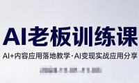 内容AI老板训练课,AI+内容应用落地教学,AI变现的实战应用分享