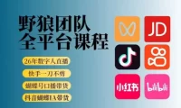 野狼团队2026新版全平台短视频带货教学,打开流量突破口,开始Ai带货(更新0709)