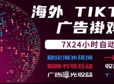 海外TikTok挂G流量变现，7X24自动运行，广告曝光收益，收益日结【揭秘】