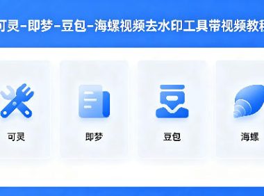 可灵–即梦–豆包–海螺视频去水印工具带视频教程