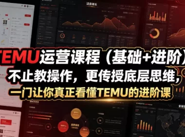 TEMU运营课程(基础+进阶),不止教操作,更传授底层思维,一门让你真正看懂TEMU的进阶课