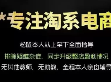 松鼠会电商VIP课程，从基础布局到高阶优化，助你掌握淘宝运营逻辑，提升店铺流量与转化(更新0901)