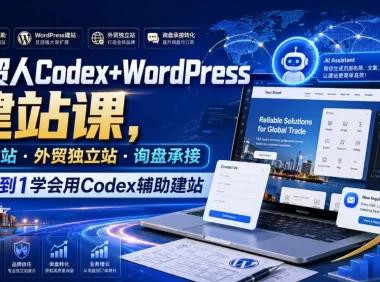 外贸人Codex+WordPress建站课,AI建站·外贸独立站·询盘承接,从0到1学会用Codex辅助建站