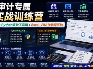 财会审计专属AI实战训练营|AI协同编程+Python审计工具箱+Excel VBA加载项落地(更新0710)