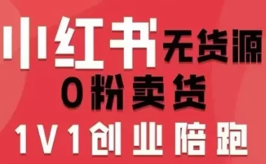 小红书无货源0粉电商课,开店准备、选品策略、笔记撰写、视频剪辑、数据分析、账号打造、资料文档(更新26年8月30日)