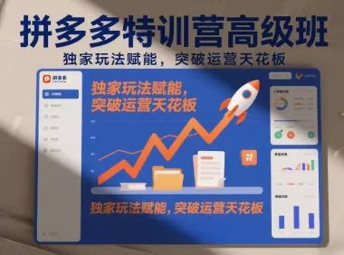 拼多多特训营高阶班，独家玩法赋能，突破运营天花板(更新26年7月11日)